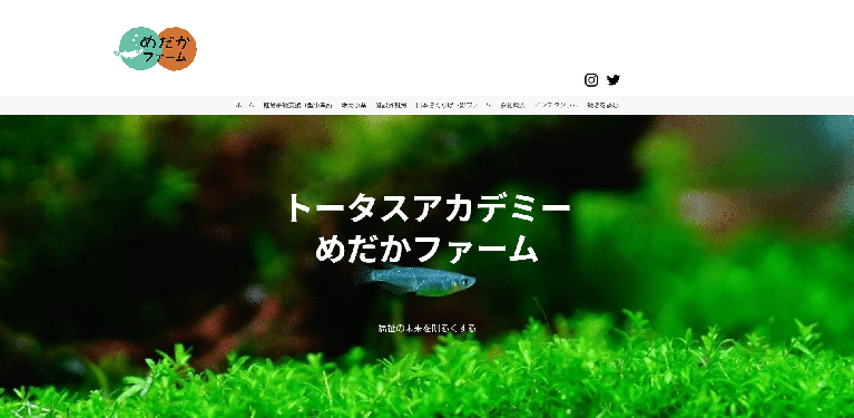 事業所